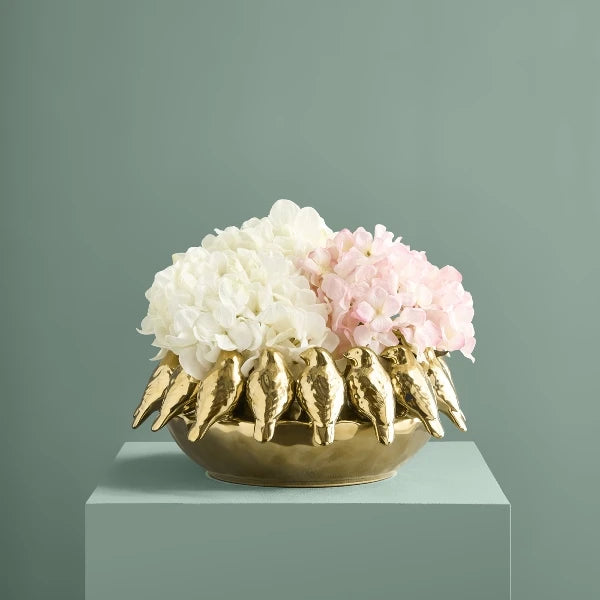 Birdy Bowl