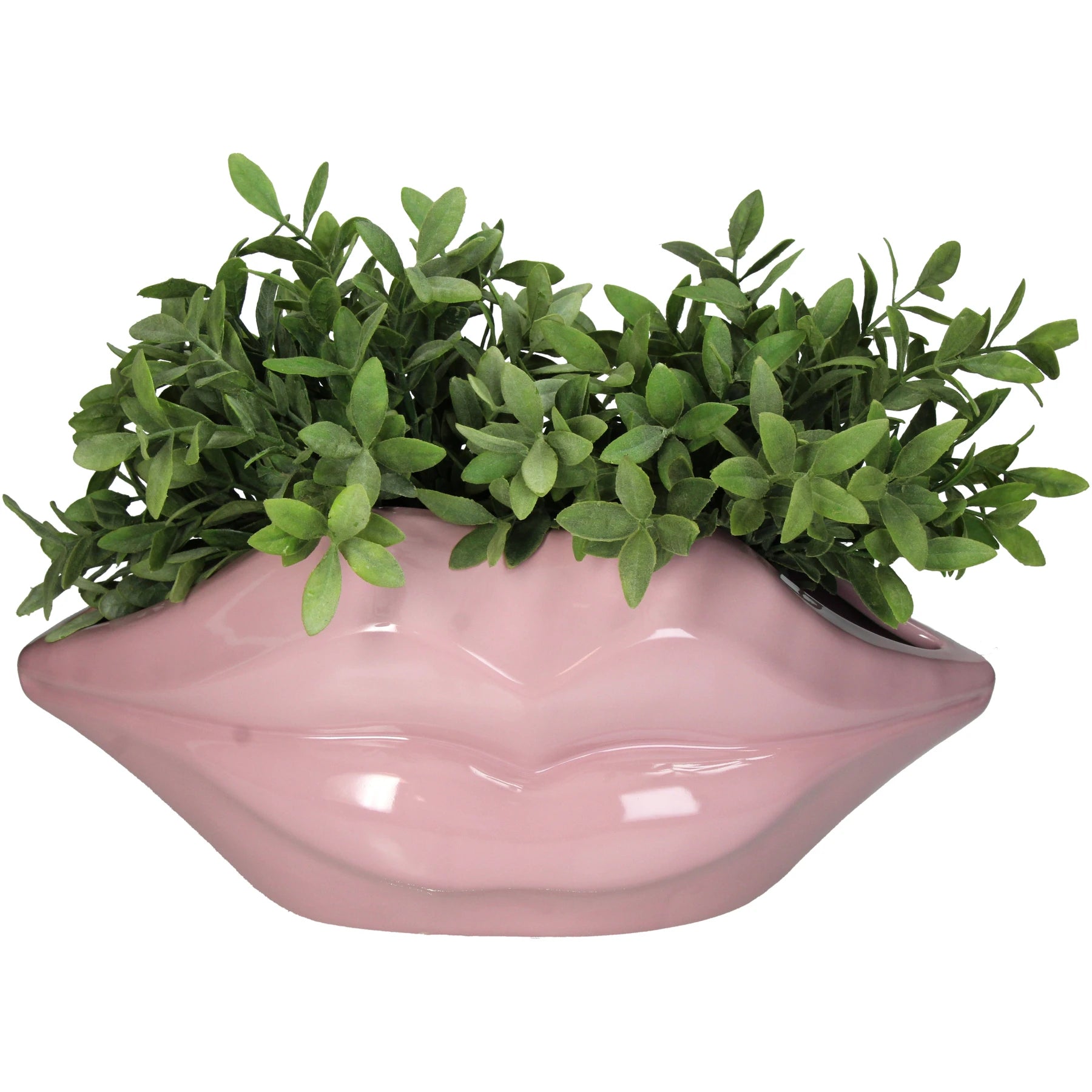 Pink Kiss Planter